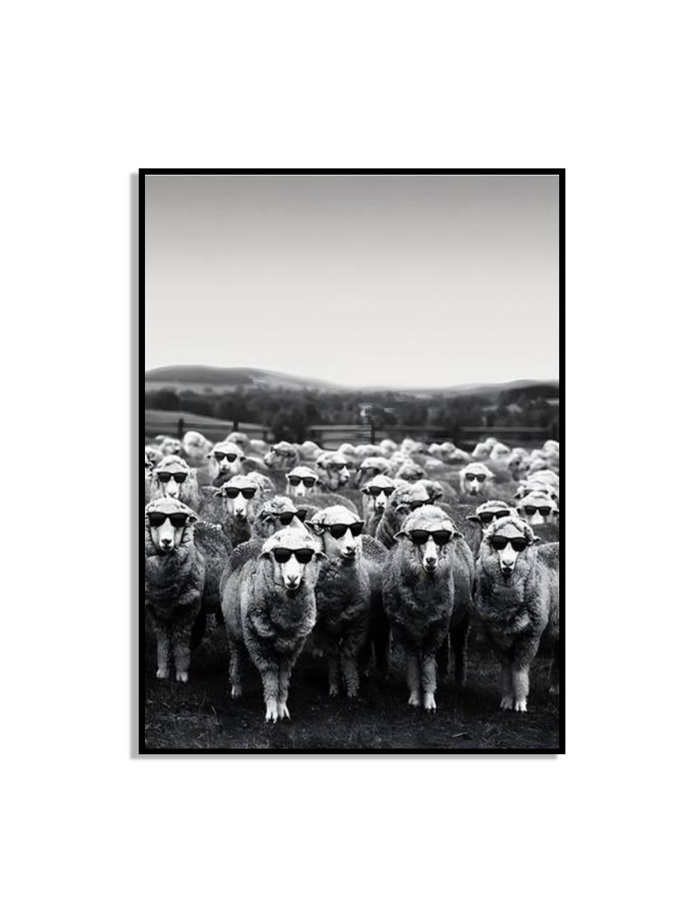 Cool Sheep-poster
