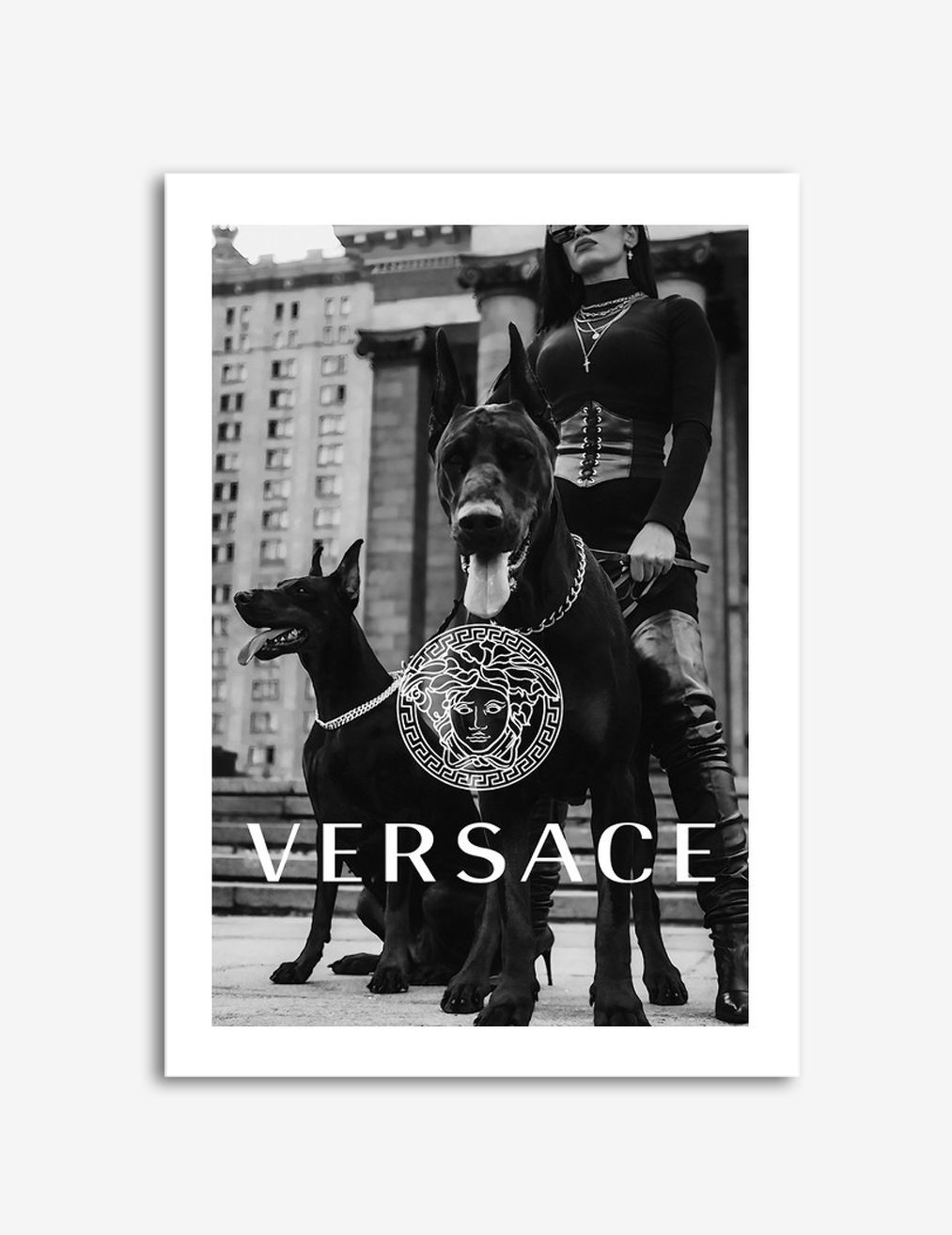Versace Honden Poster