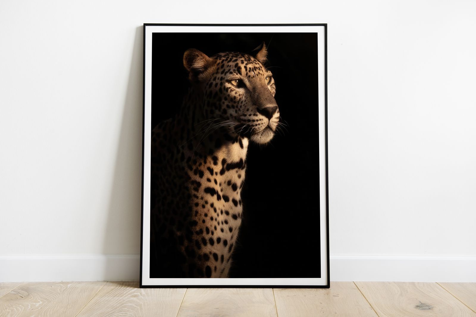 Poster - Majestueuze Luipaard
