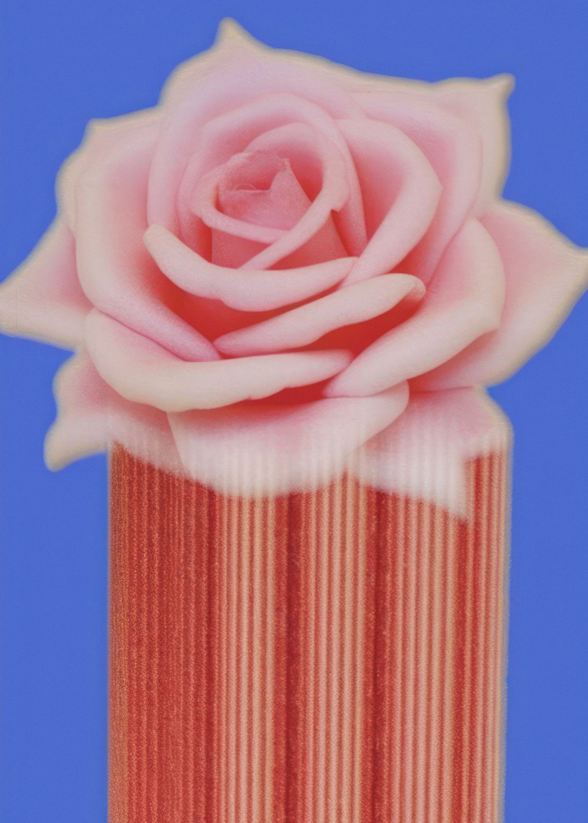 Poster - Rozen Kunst