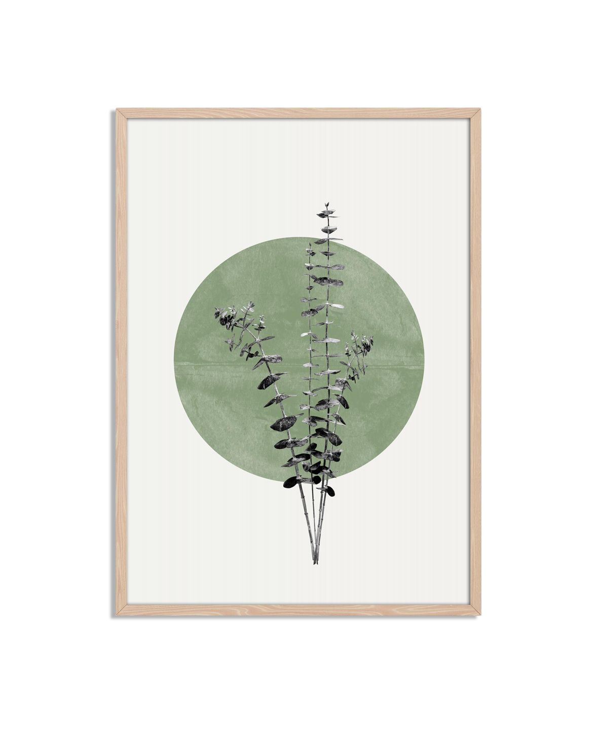 Botanische Groene Cirkel Poster