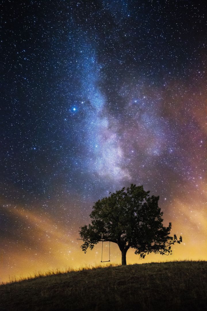 Poster - Sterrennacht Boom