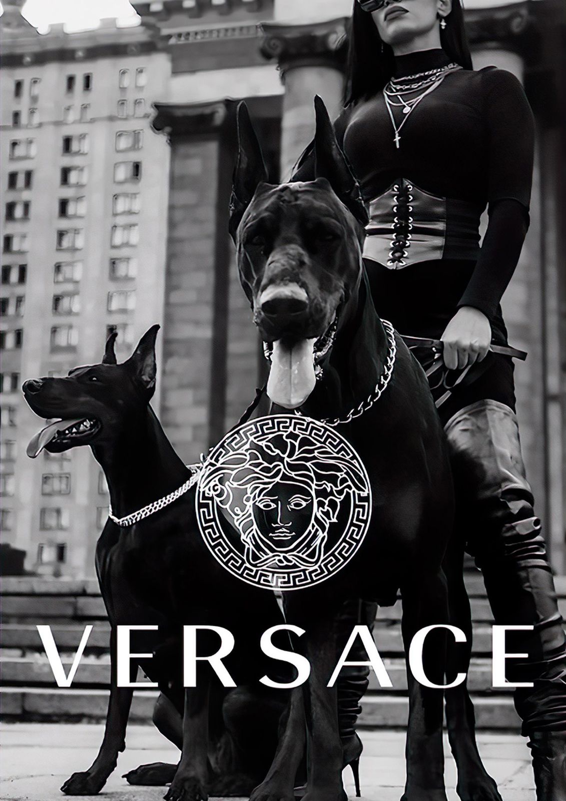 Versace Modehondenposter
