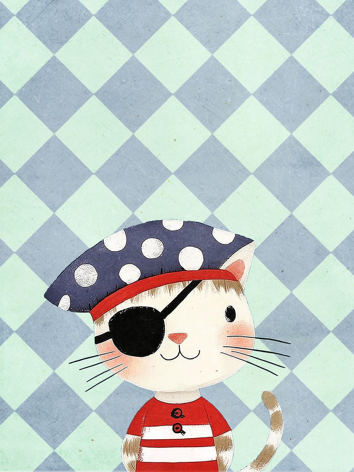 Poster - Piratenkat