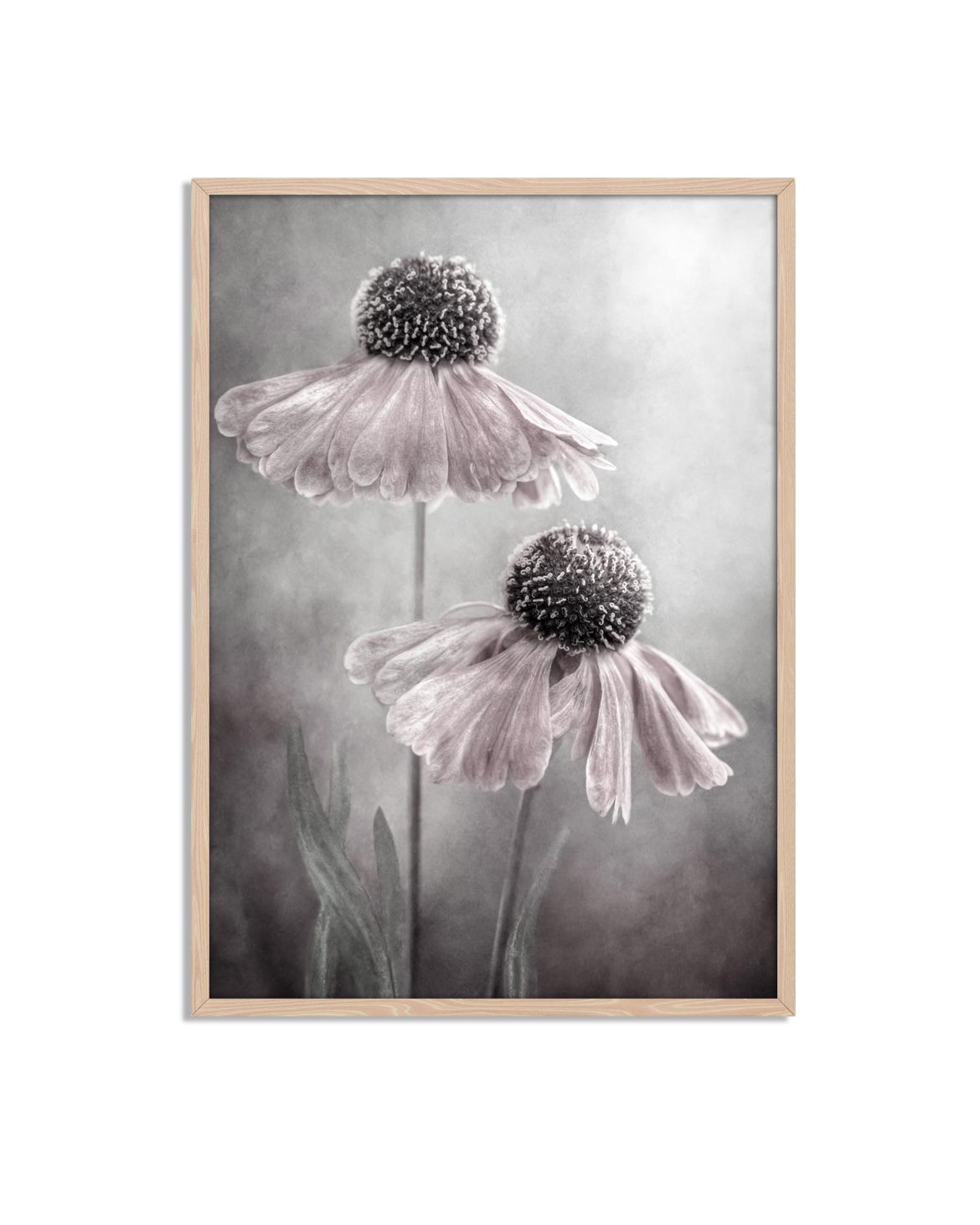 Elegante Bloesems Bloemenposter