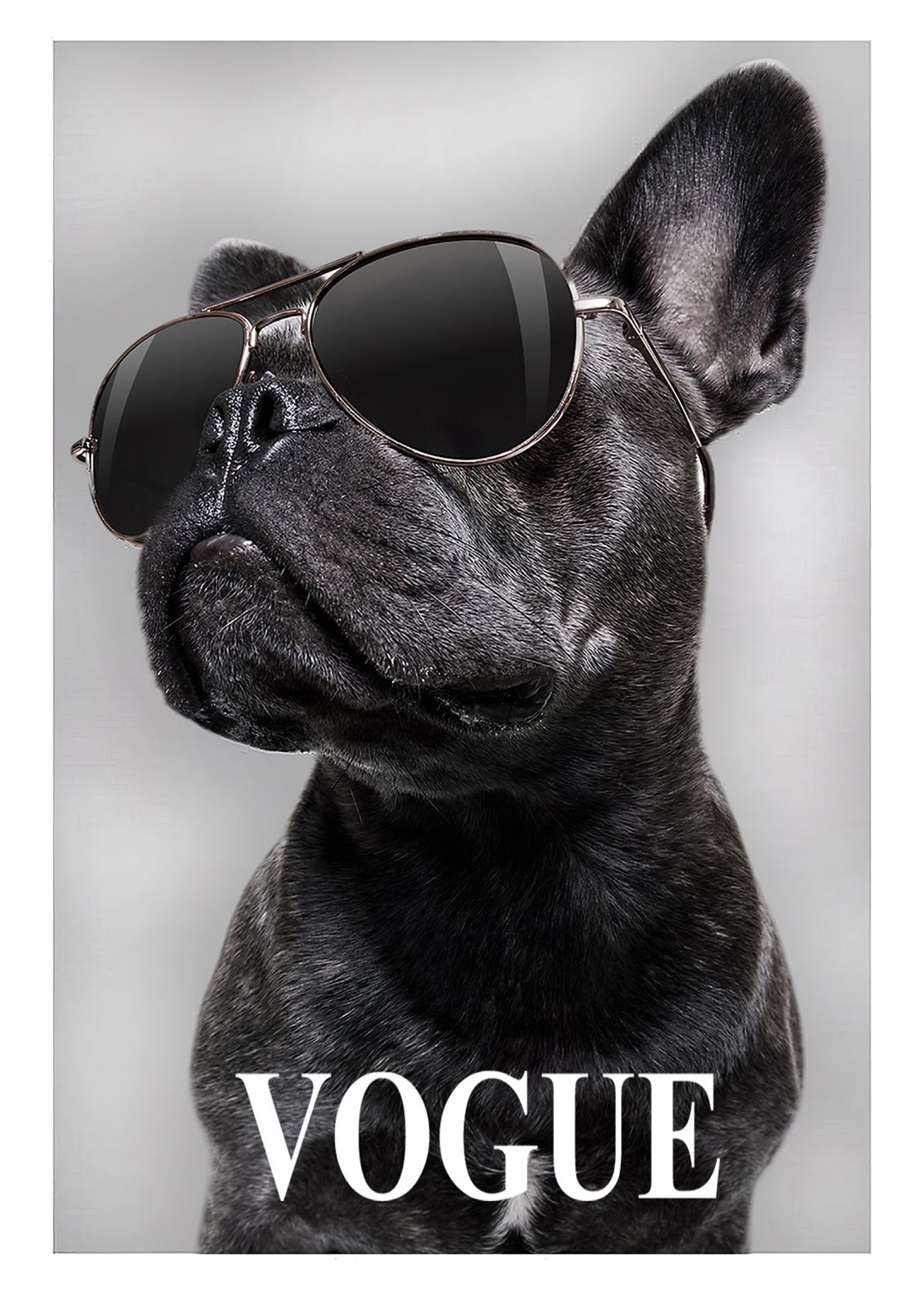 Stijlvolle Honden Wandposter