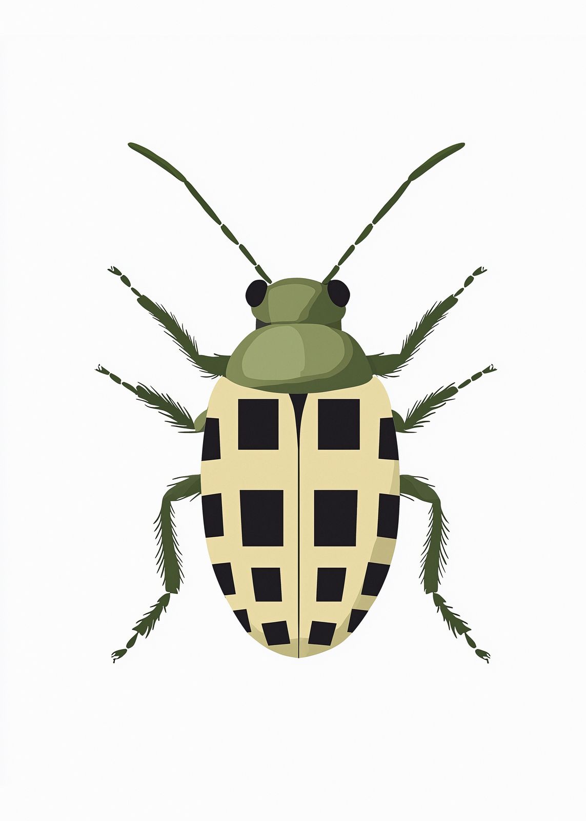 Poster - Groen Keverontwerp