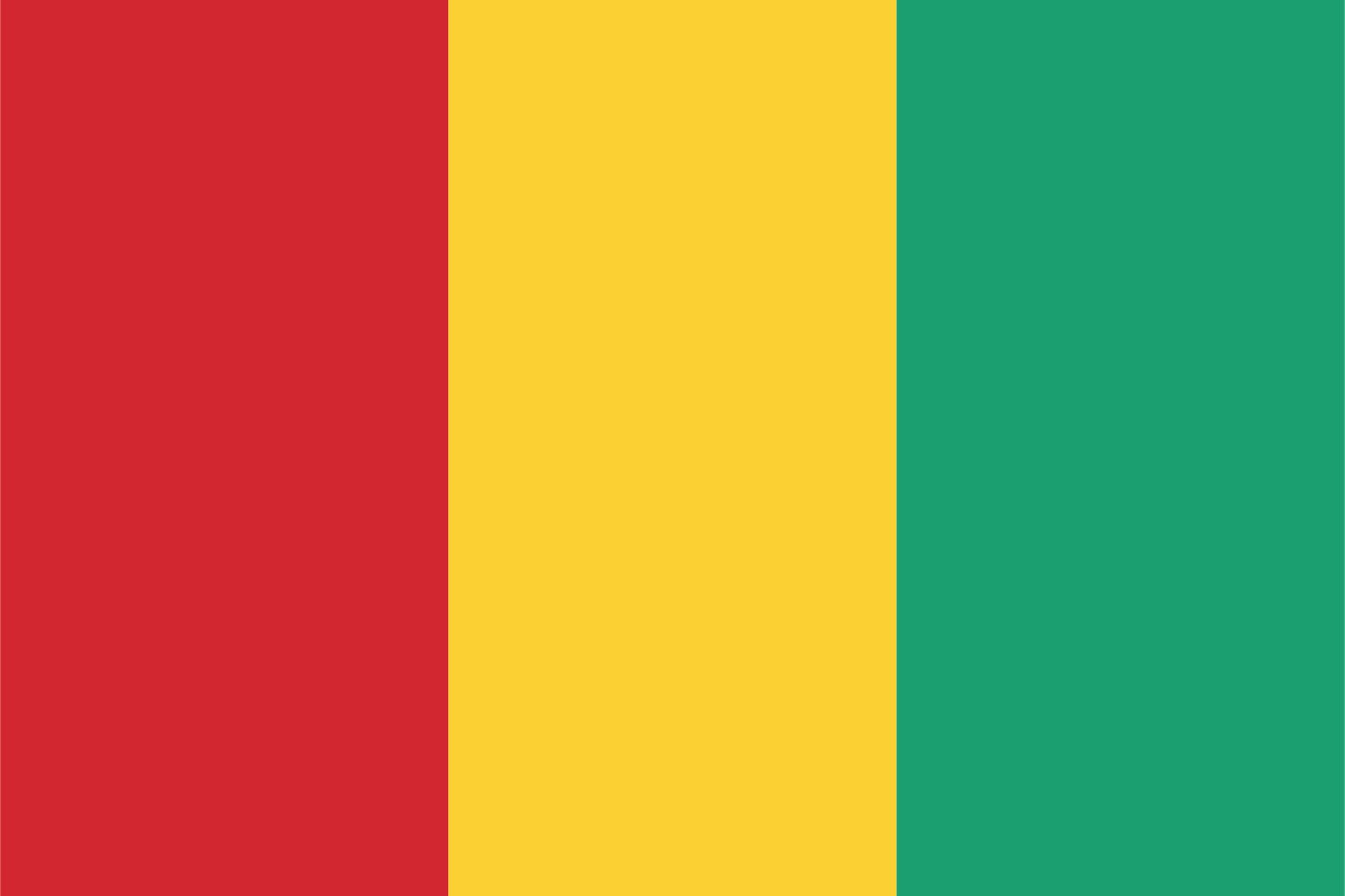 Guinee Vlag - Sticker