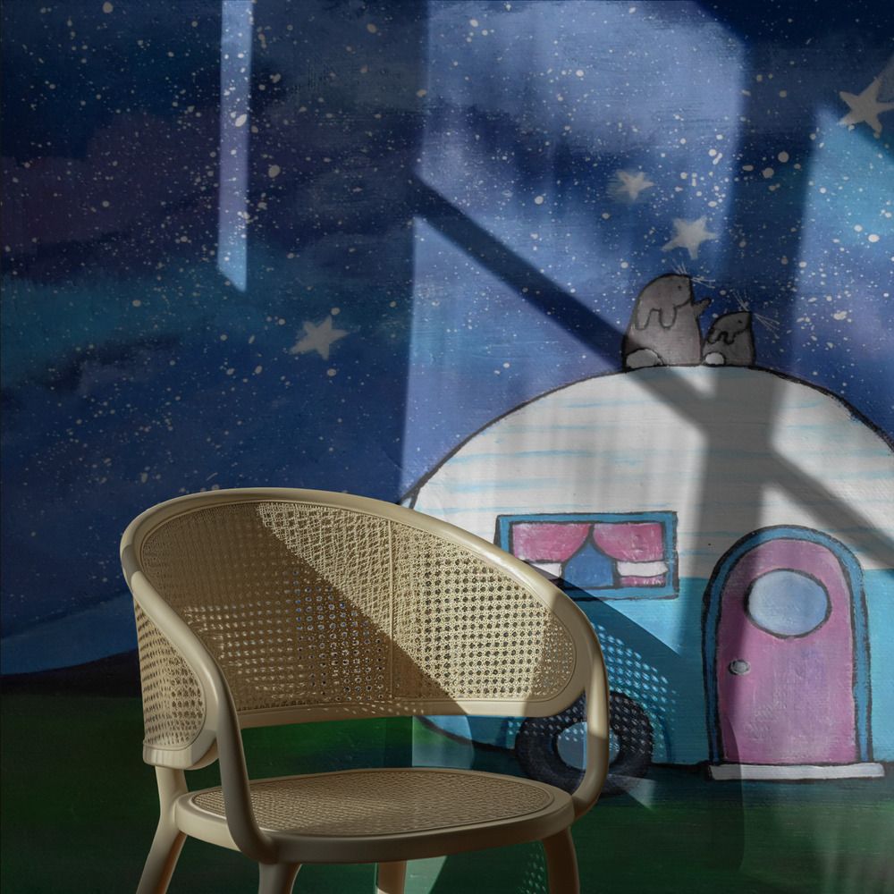 Productafbeelding